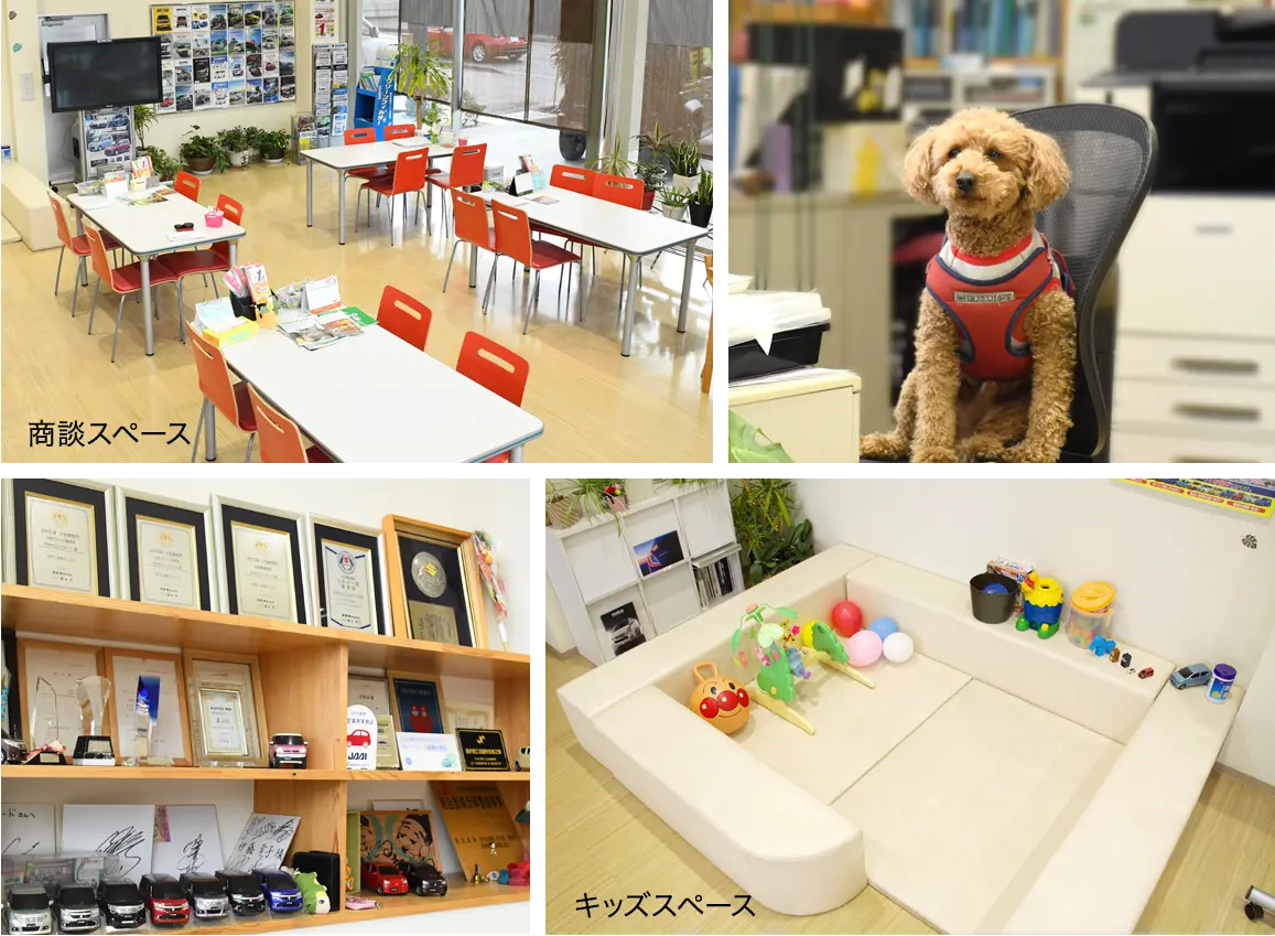 スズキショップ ピット月見